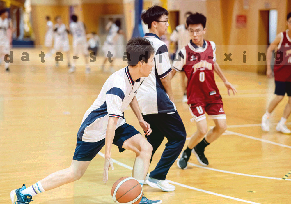球场座位分布与季票信息数据卡片的抽象图